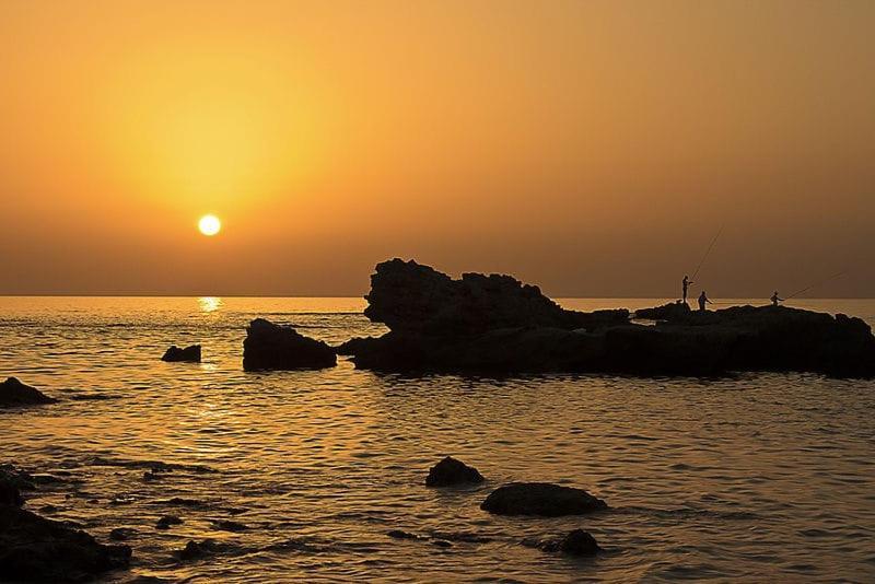 Suite Paradise - D111 Kayserya Dış mekan fotoğraf